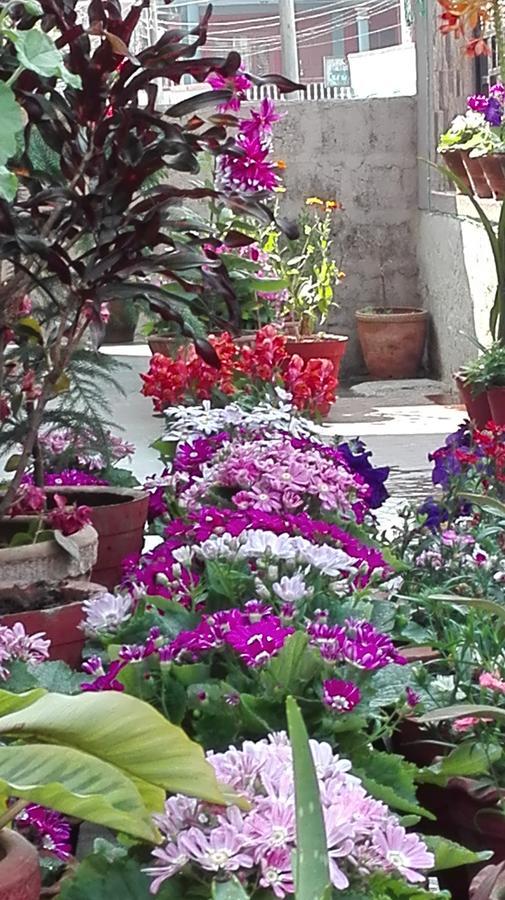 Hotel Buttercup Pokhara Kültér fotó